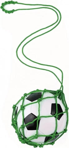 Fußballtrainer