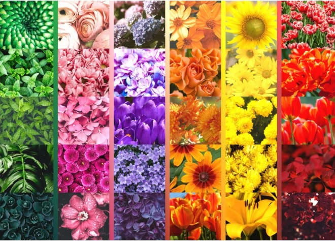 Lebendige Blumenpalette im Gitter