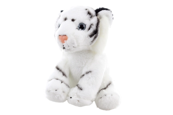 Niedlicher Weißer Tiger