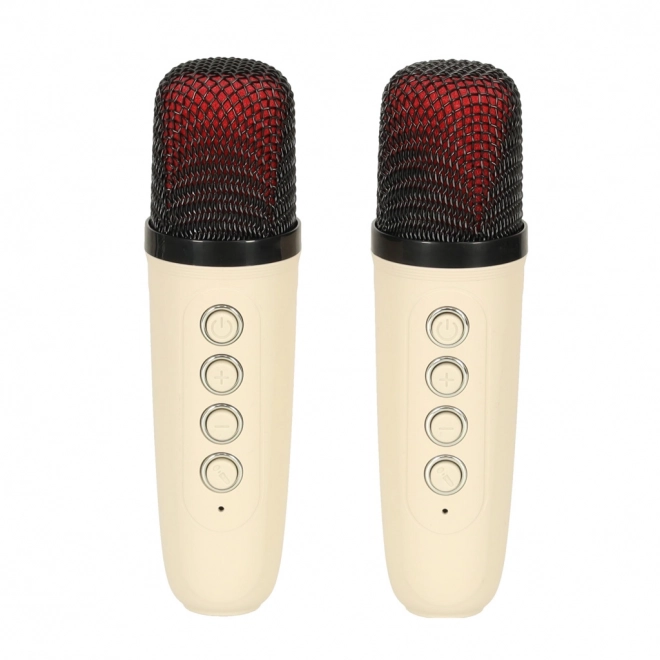 Karaoke Lautsprecher USB Bluetooth Creme