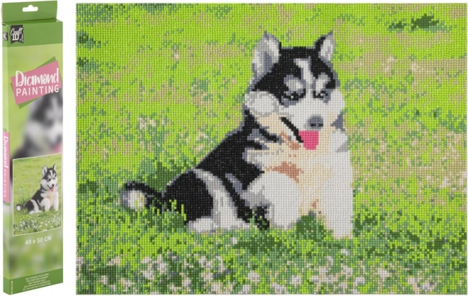 Diamantmalerei Husky 40x50 cm