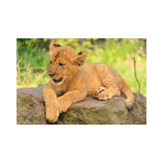 Zubehör Minipuzzle Tiere