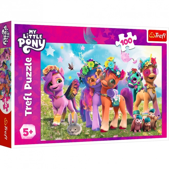 Lustige Ponys Puzzle - My Little Pony