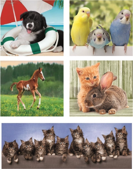 Clementoni Puzzle - Tierfreunde