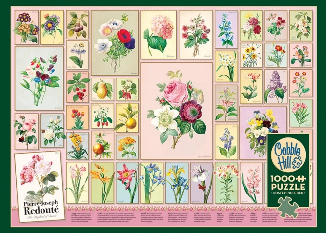 Puzzle Pierre-Joseph Redouté 1000 Teile von Cobble Hill