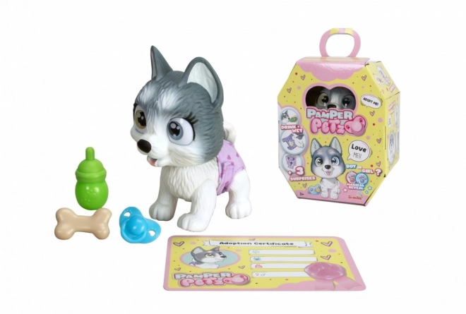 Niedliches Husky-Welpe von Pamper Petz