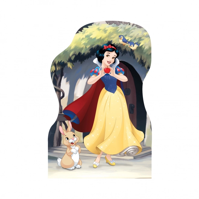 Konturpuzzle mit Disney Prinzessinnen 4x54 Teile