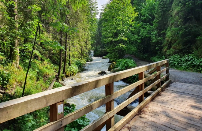 Diamantmalerei Holzbrücke im Wald 30x40cm