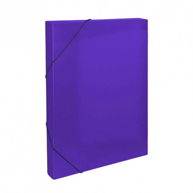 Archivbox A4 Opaline Violett