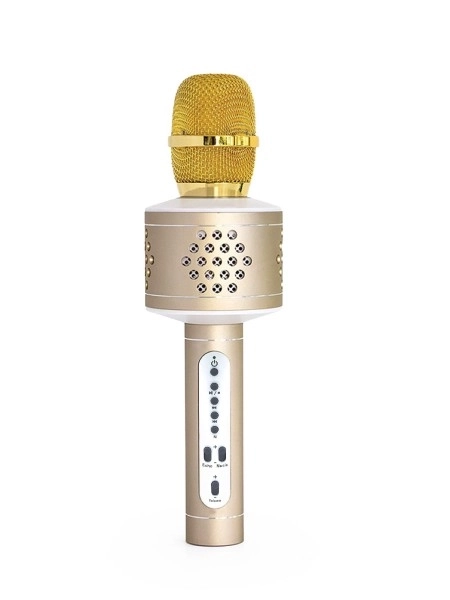 Kabelloses Karaoke-Mikrofon mit Bluetooth in Silber – Gold