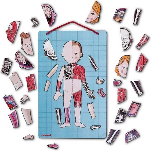 Magnetische Tafel zum Aufhängen