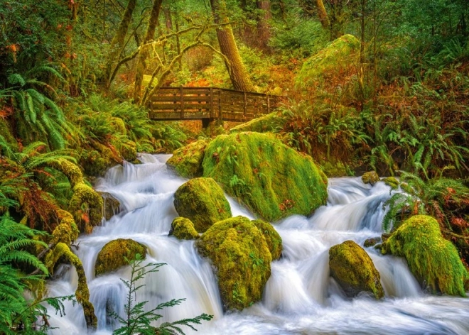 Puzzle Waldwasserfall 1000 Teile