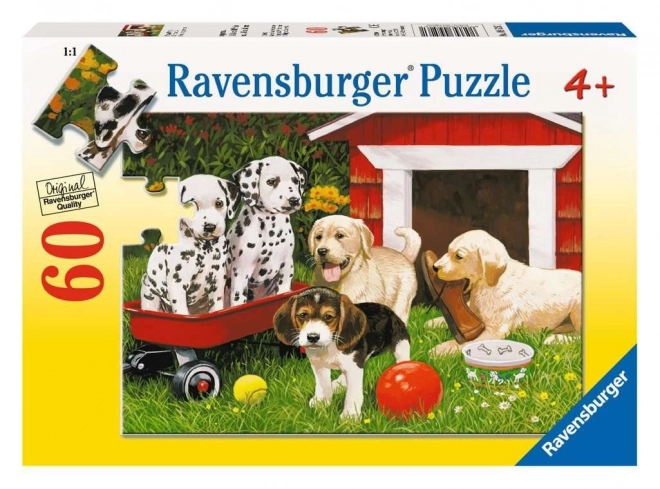 Ravensburger Puzzle Welpenparty 60 Teile