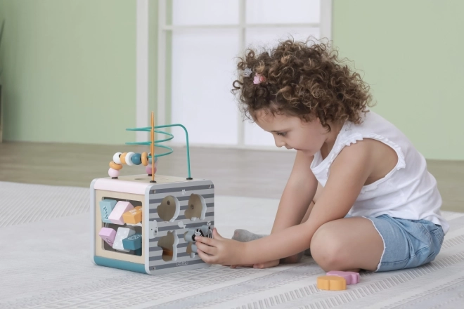 Aktivitätsbox für Kinder 5-in-1 Viga PolarB