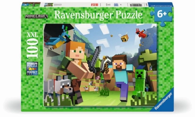 Minecraft Puzzle