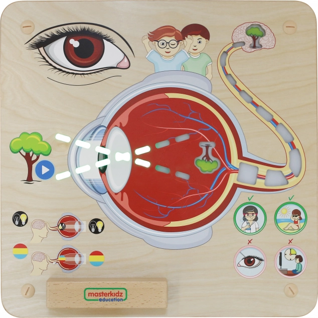 Masterkidz Edukative Seh-Tafel Montessori