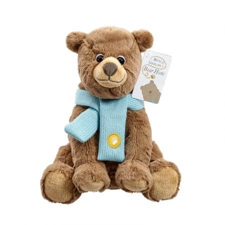 Regenbogen Teddybär Abenteuer