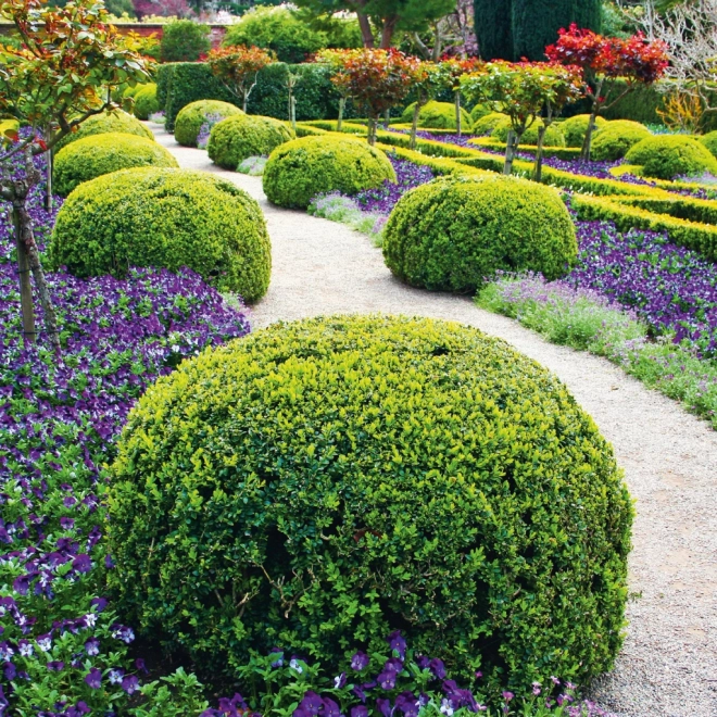 Schöne Gartenfotos