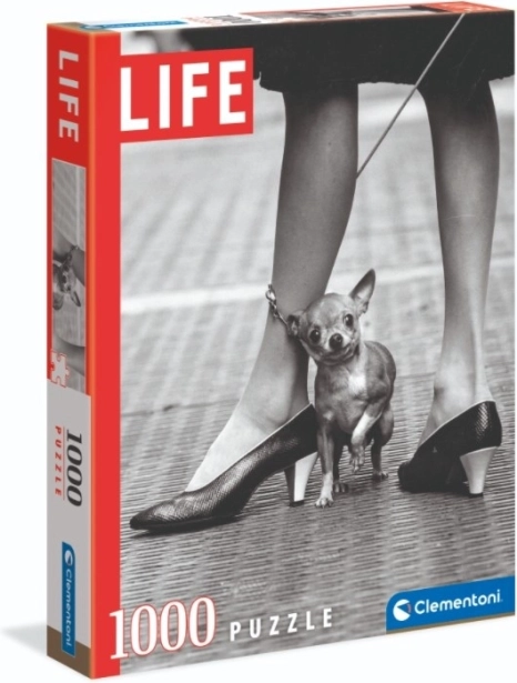Puzzle Chihuahua von Clementoni 1000 Teile