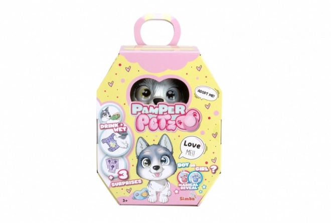 Niedliches Husky-Welpe von Pamper Petz