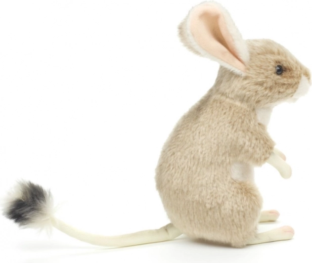 Leicht und ideal für unterwegs