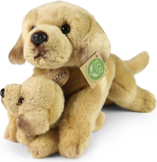 Sicher ab der Geburt (0+)