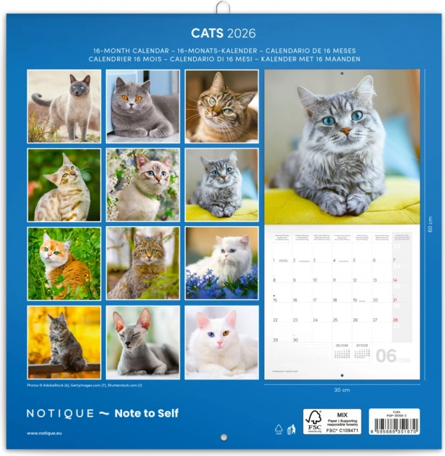Notizkalender Katzen 2026