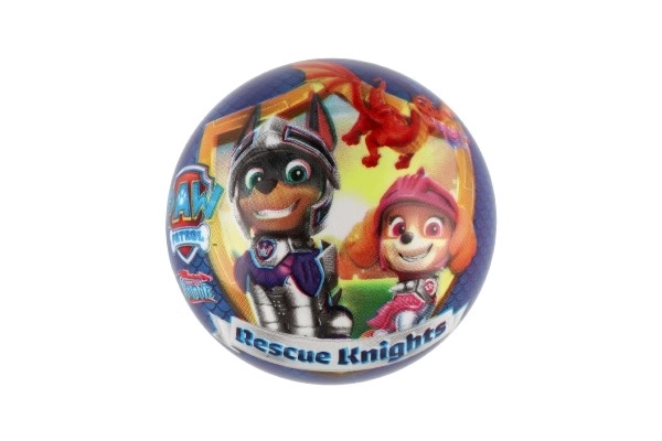 Paw Patrol Ball 14cm