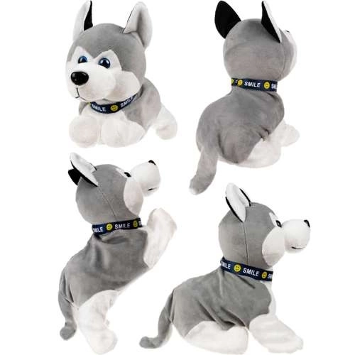 Interaktiver Husky-Welpe