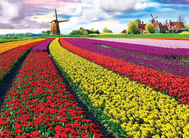Puzzle Tulpenfeld 1000 Teile