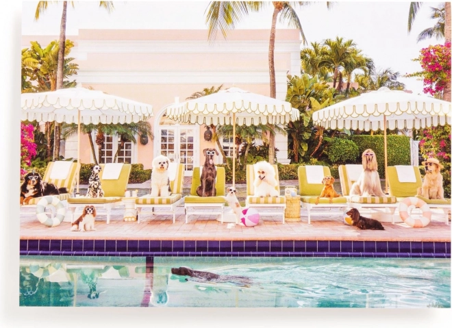 Puzzle Am Pool in Palm Beach 1000 Teile