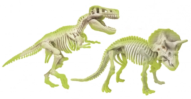 Clementoni Science&Play: T-Rex und Triceratops Ausgrabungsset