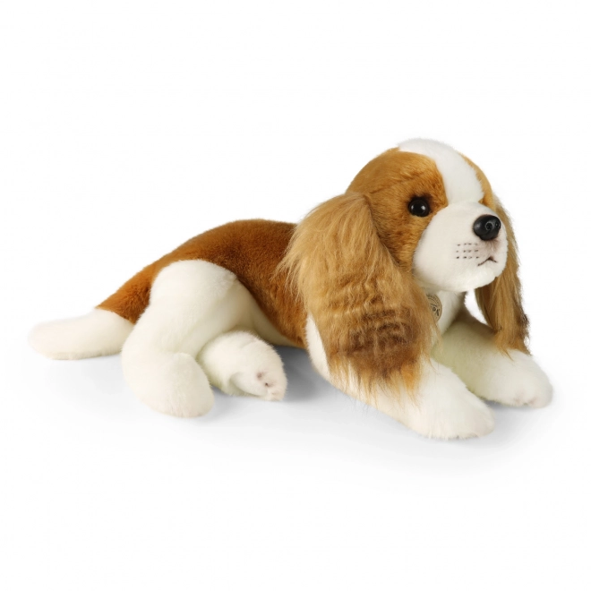 Plüschhund Cavalier King Charles Spaniel ECO-Friendly