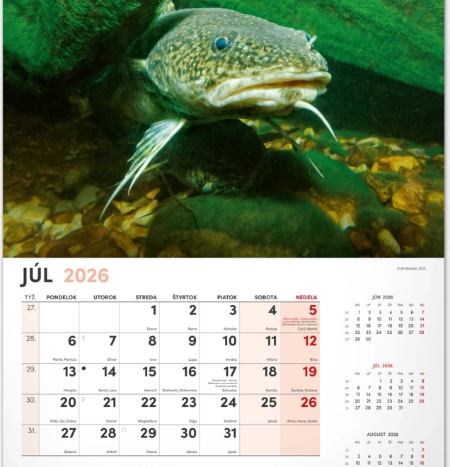 Wandkalender Angeln 2026