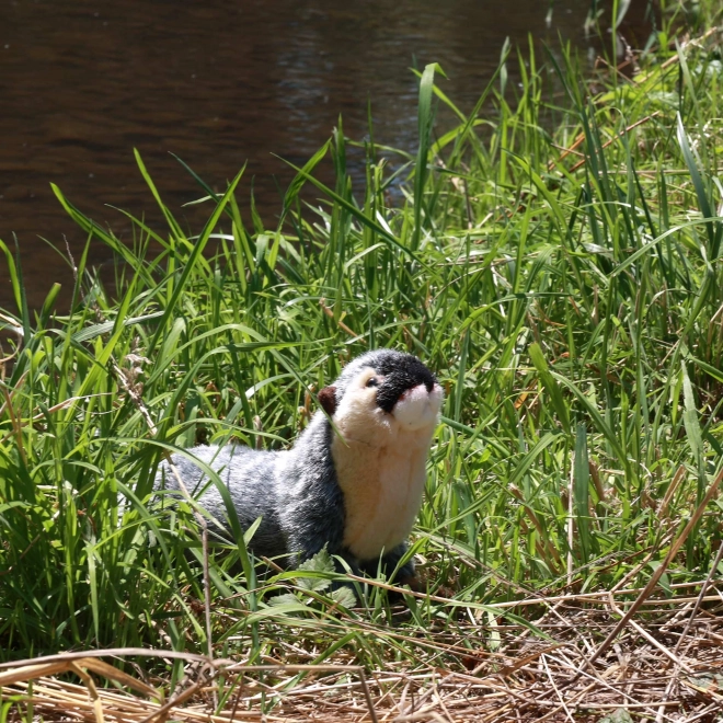 Rappa Plüschotter ECO-FRIENDLY