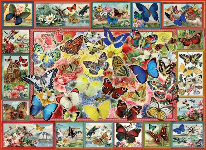 Puzzle Viele Schmetterlinge 1000 Teile