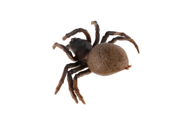 Antistress dehnbarer Silikon-Spinne