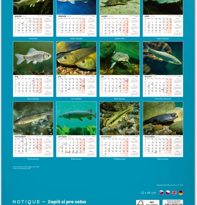 Wandkalender Angeln 2026