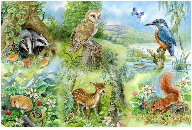 Puzzle Naturstudium 250 Teile