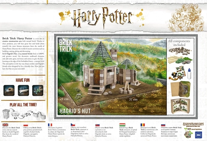 Harry Potter: Hagrids Hütte Baukasten