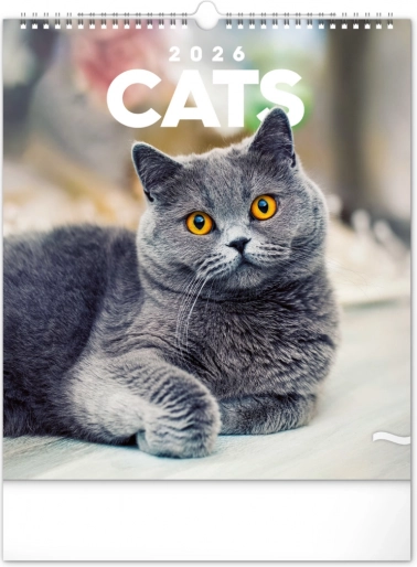 Wandkalender Katzen 2026