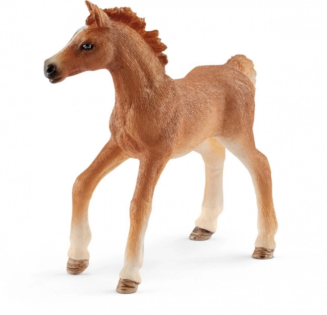 Schleich Horse Club Fohlen mit Mädchen und Zubehör