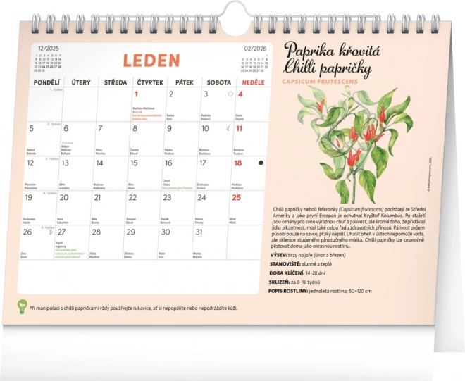 Notique Monatsplaner Kalender mit Samen 2026