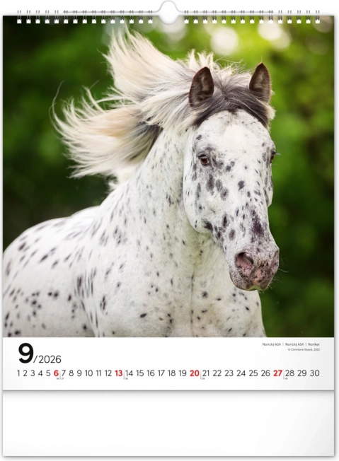 Wandkalender Pferde 2026