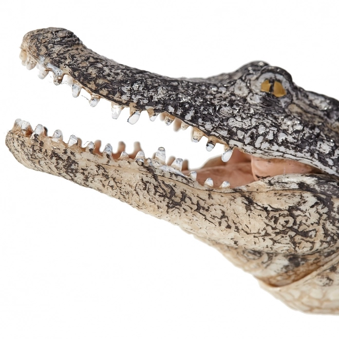 Realistische Alligator Figurine von Mojo