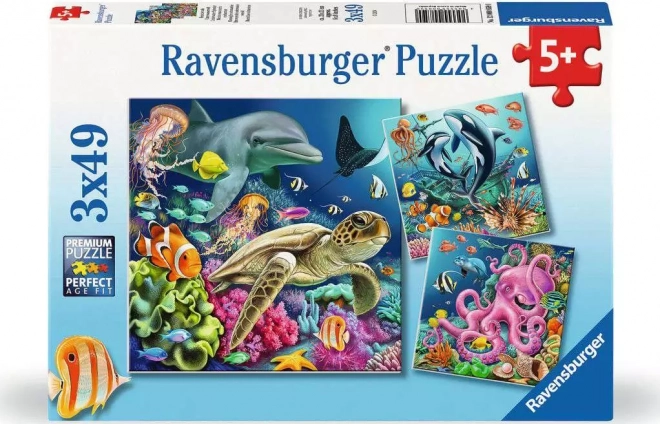 Puzzle Leben unter Wasser 3x49 Teile