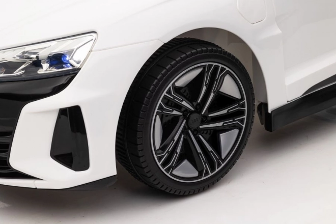 Audi E-Tron GT Autobatterie QLS-6888 Weiß