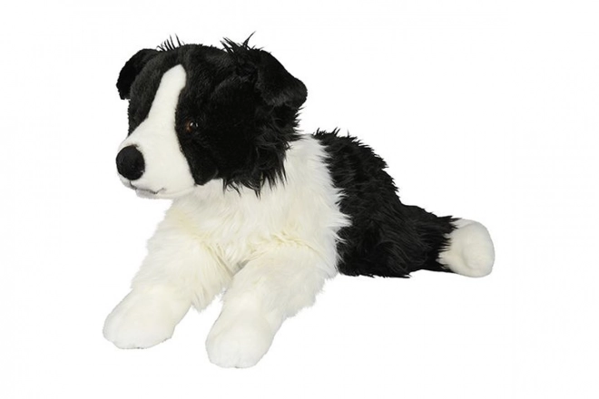 Plüsch Border Collie