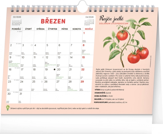 Notique Monatsplaner Kalender mit Samen 2026