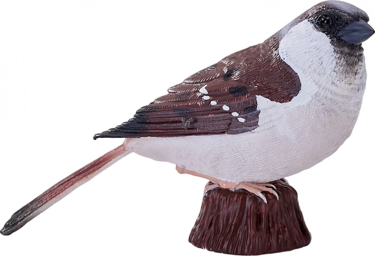 Vielseitig einsetzbar: Spiel, Bildung, Sammlung